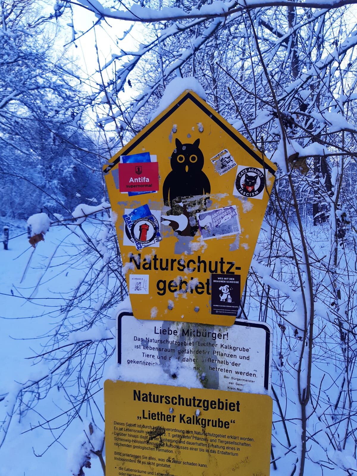 893f1da0-ed35-4e26-a70f-287ec26ea011