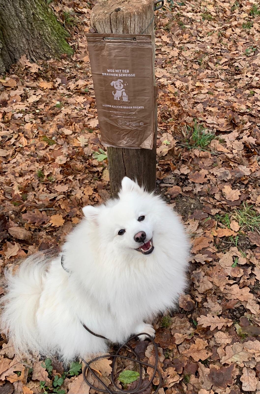 ca034c8a-ee14-45d6-b78f-5fb25d1ca353