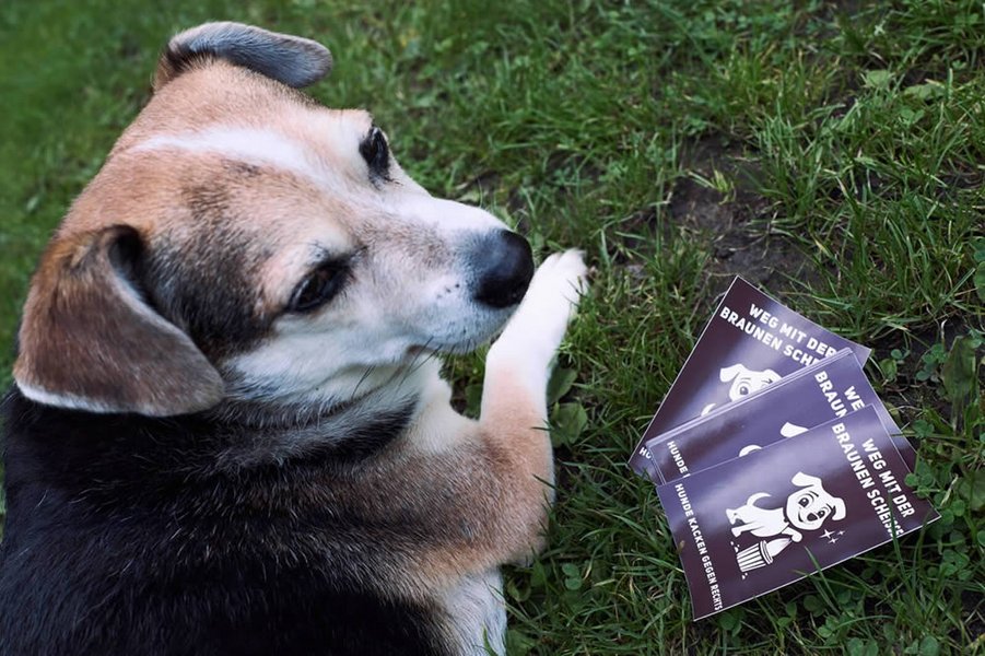 hunde_kacken_gegen_rechts_21