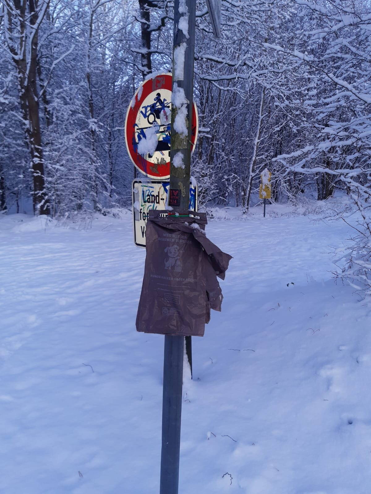 19c90de9-e35b-481d-9c3e-020d7e02d37d