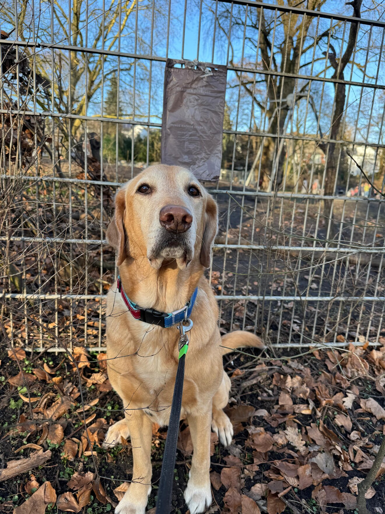 cfed2ee3-2751-47dd-9f09-4e5bd89c582a