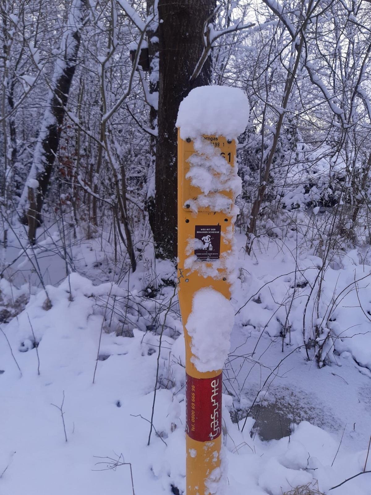 6938f664-4ddd-4348-b8be-fab9fd27e346