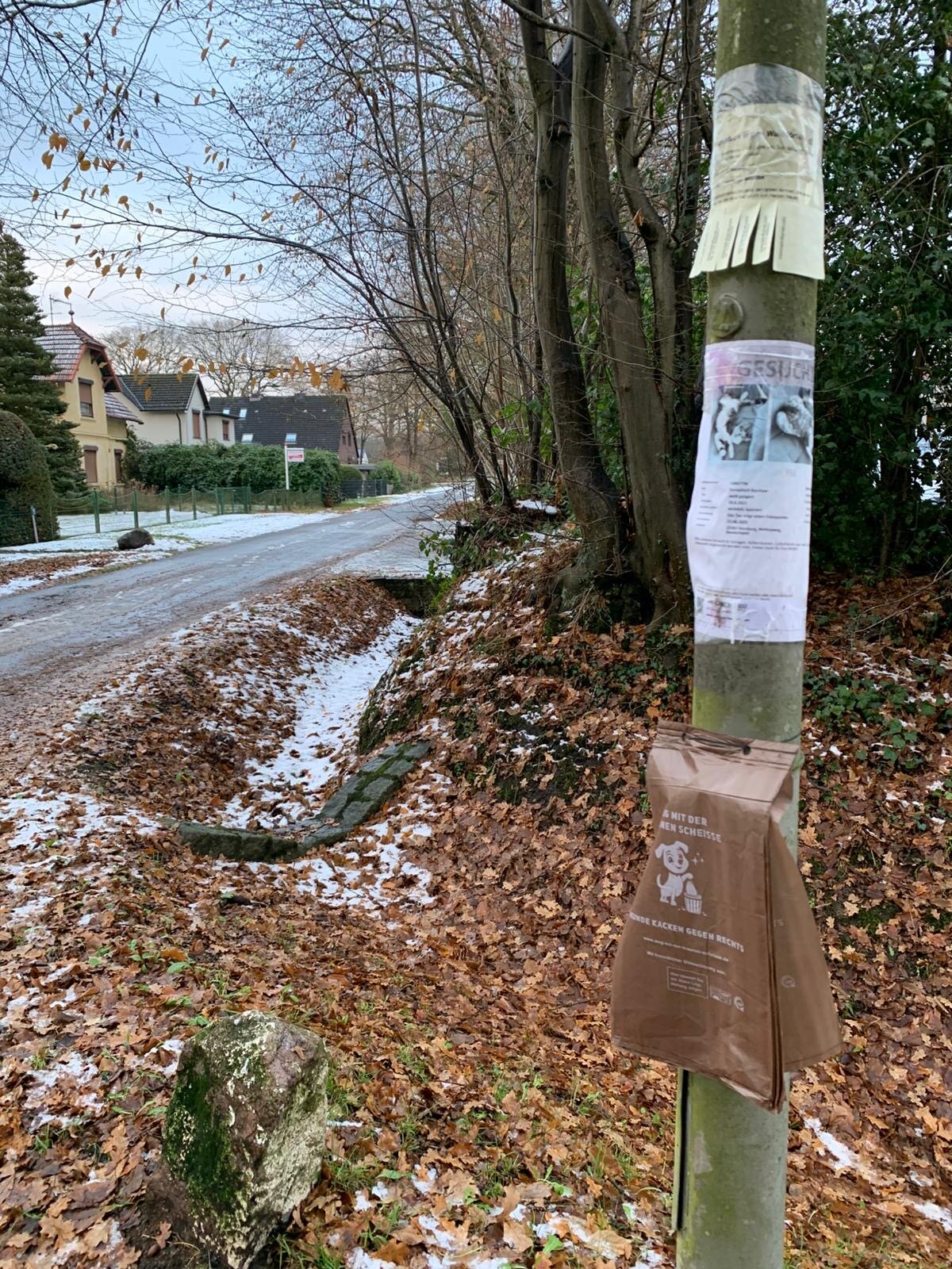 19fc7c1c-903f-46bb-9b5a-6c202c84e0b7