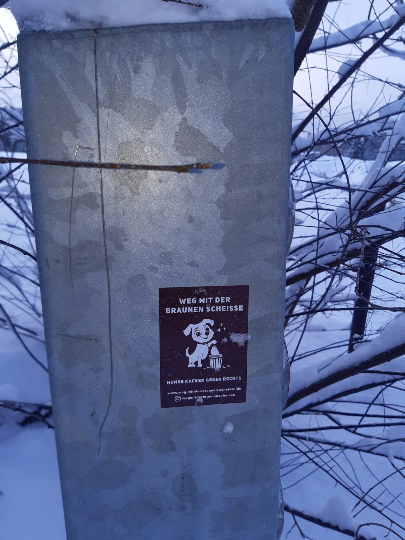 a6b9e6c3-770f-4ea4-aa09-185bf38e45ac