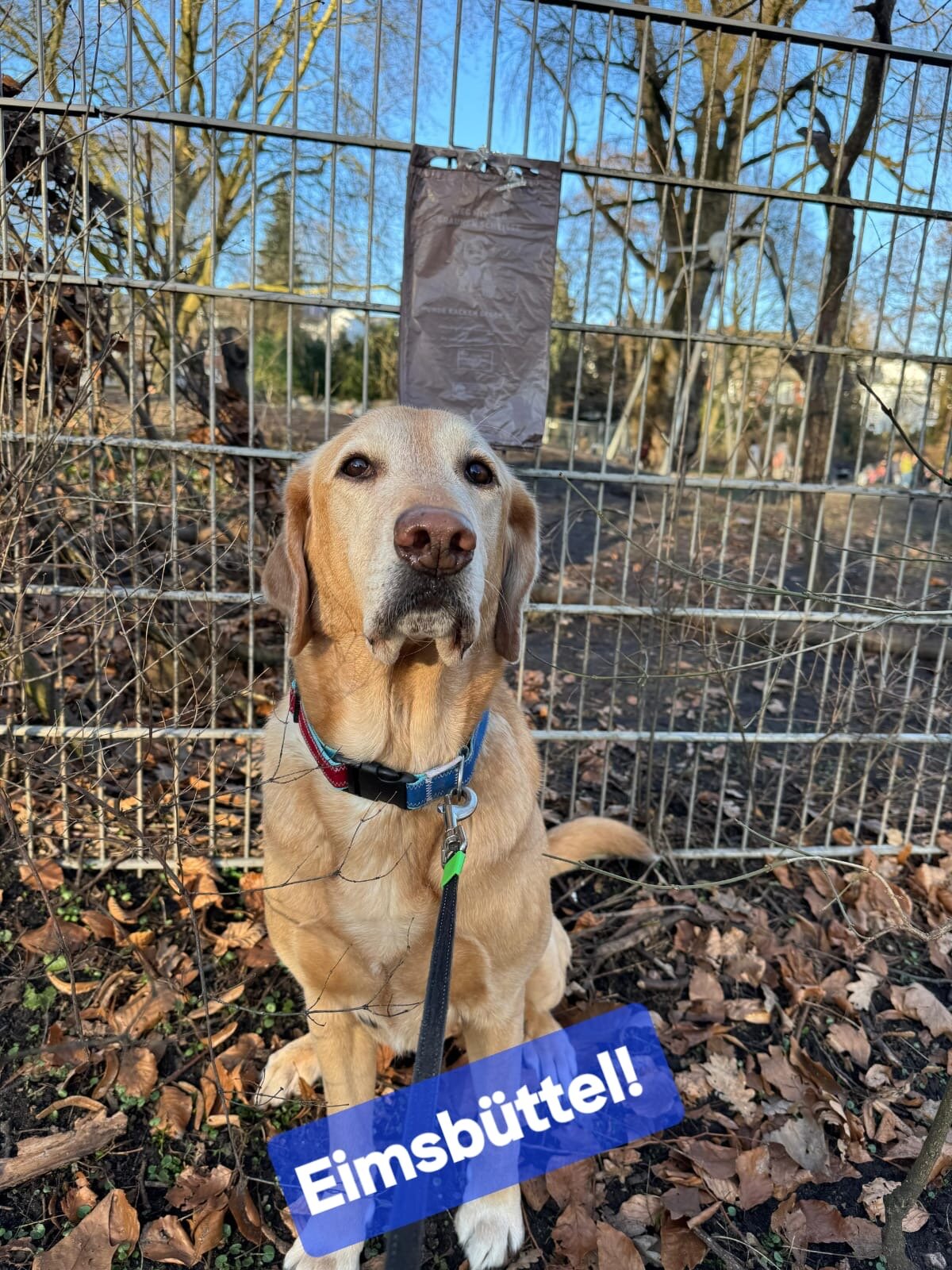 78456fd0-64b5-4cfa-a91f-bd884cbeb3d9