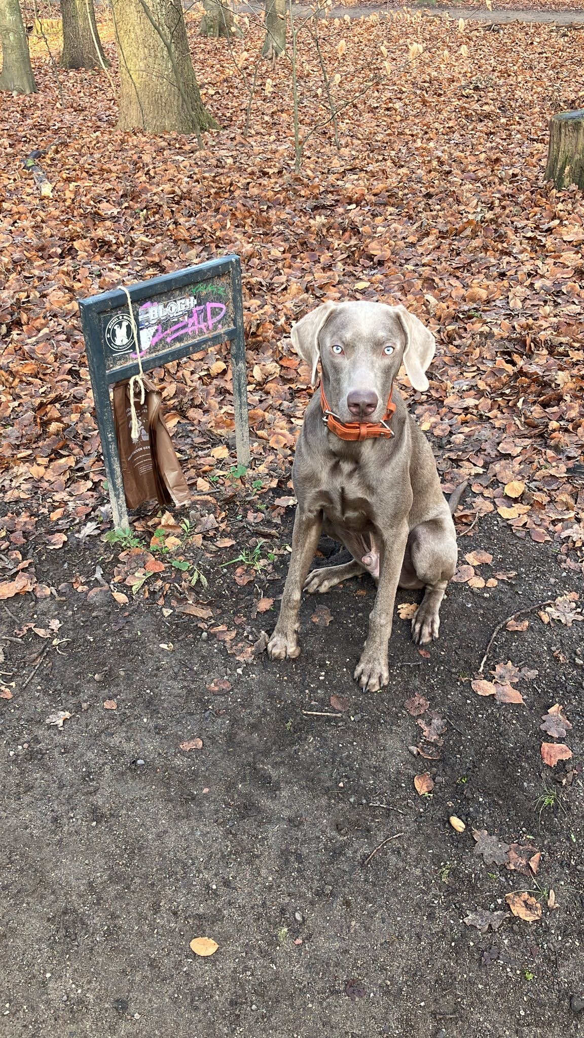 4b6e8755-ad5d-4e21-aa2b-5ce9c9e336c6