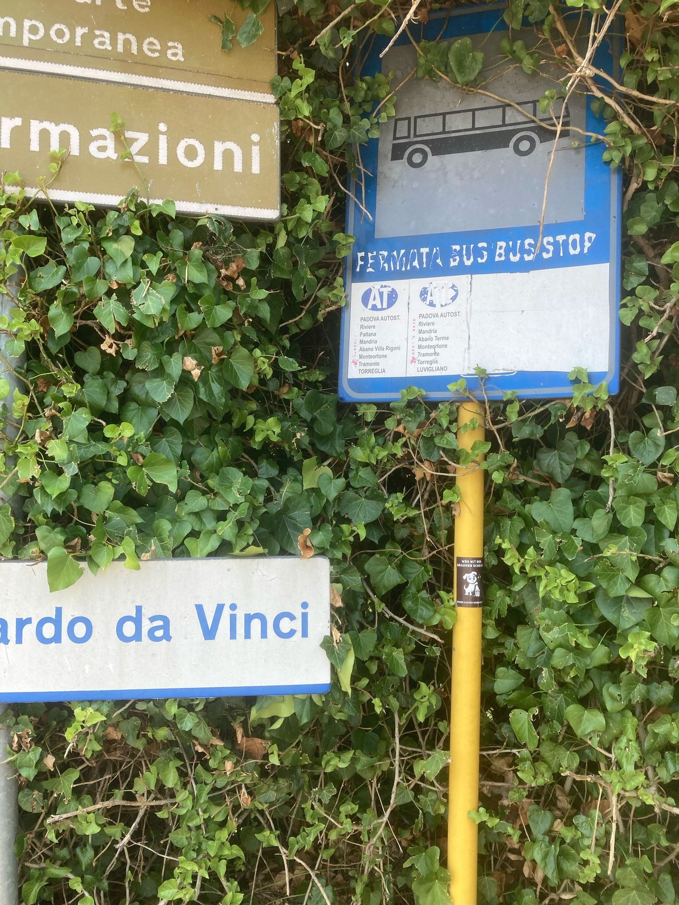 c6855d56-6009-44ae-bac4-737c28dac481