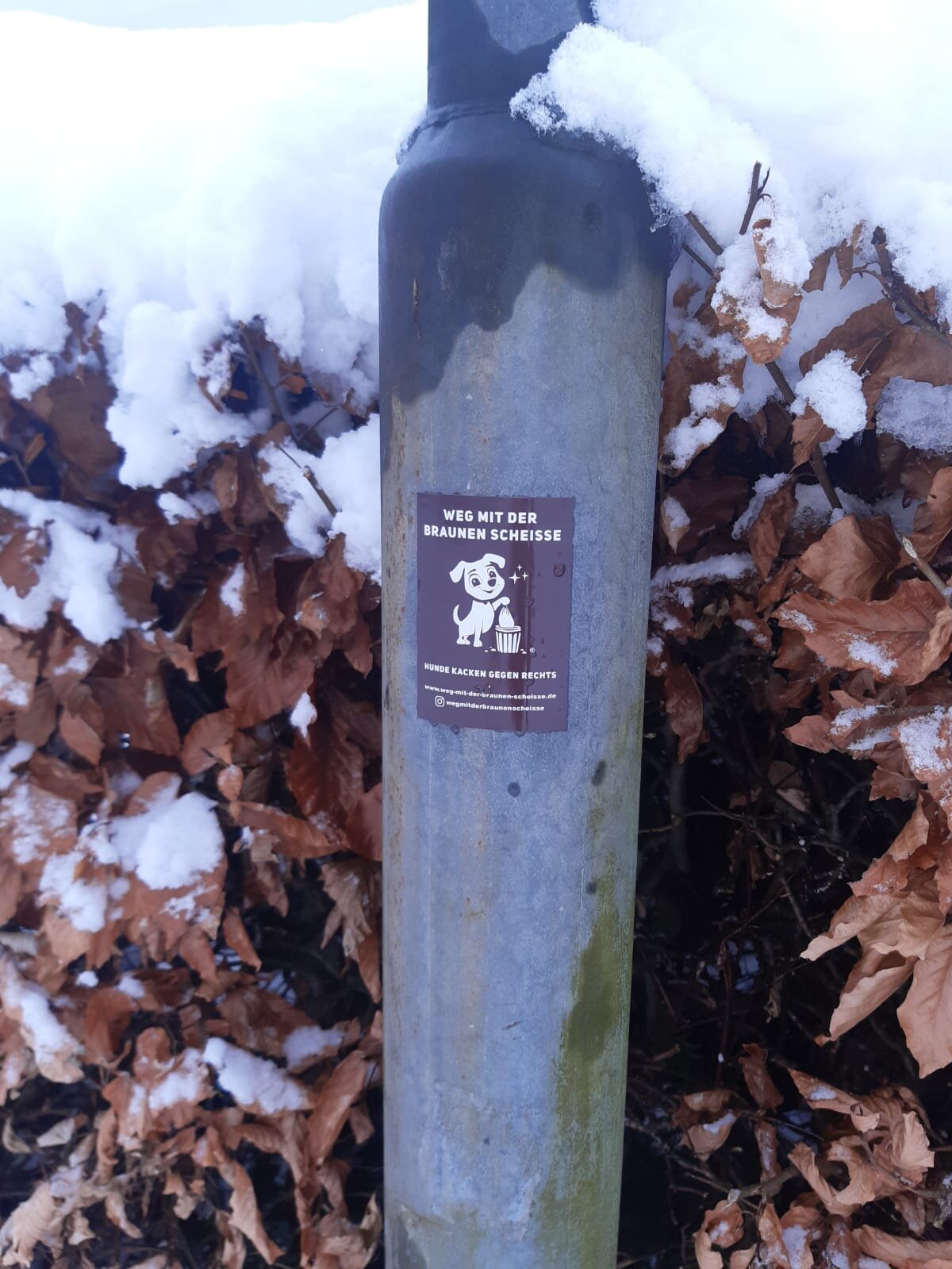 e8d43baa-e582-4d8b-b8b3-f998a207c847