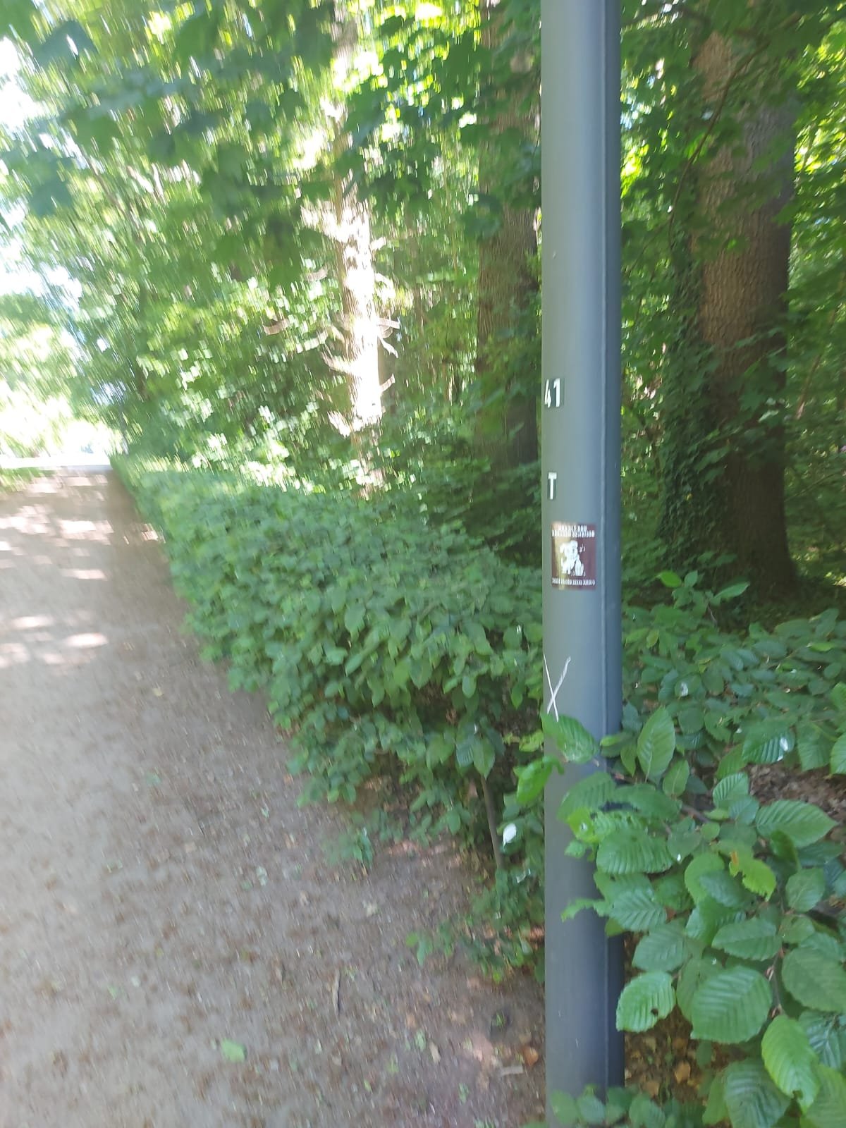 2d997066-6c6d-414d-a6af-8615a487b78f