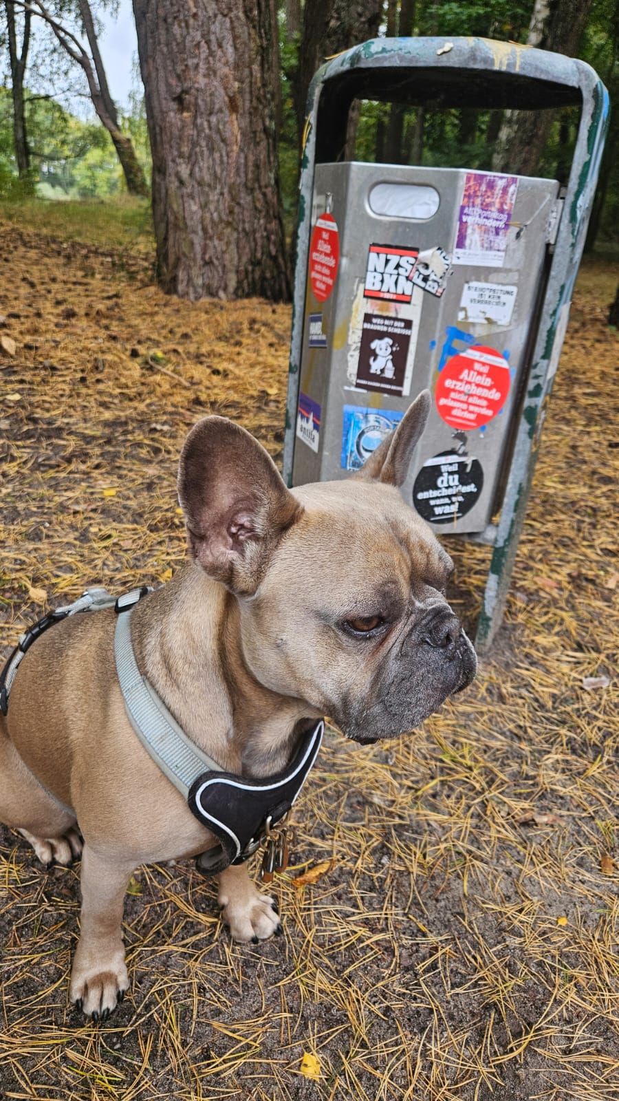 PHOTO-2025-10-06-11-14-57