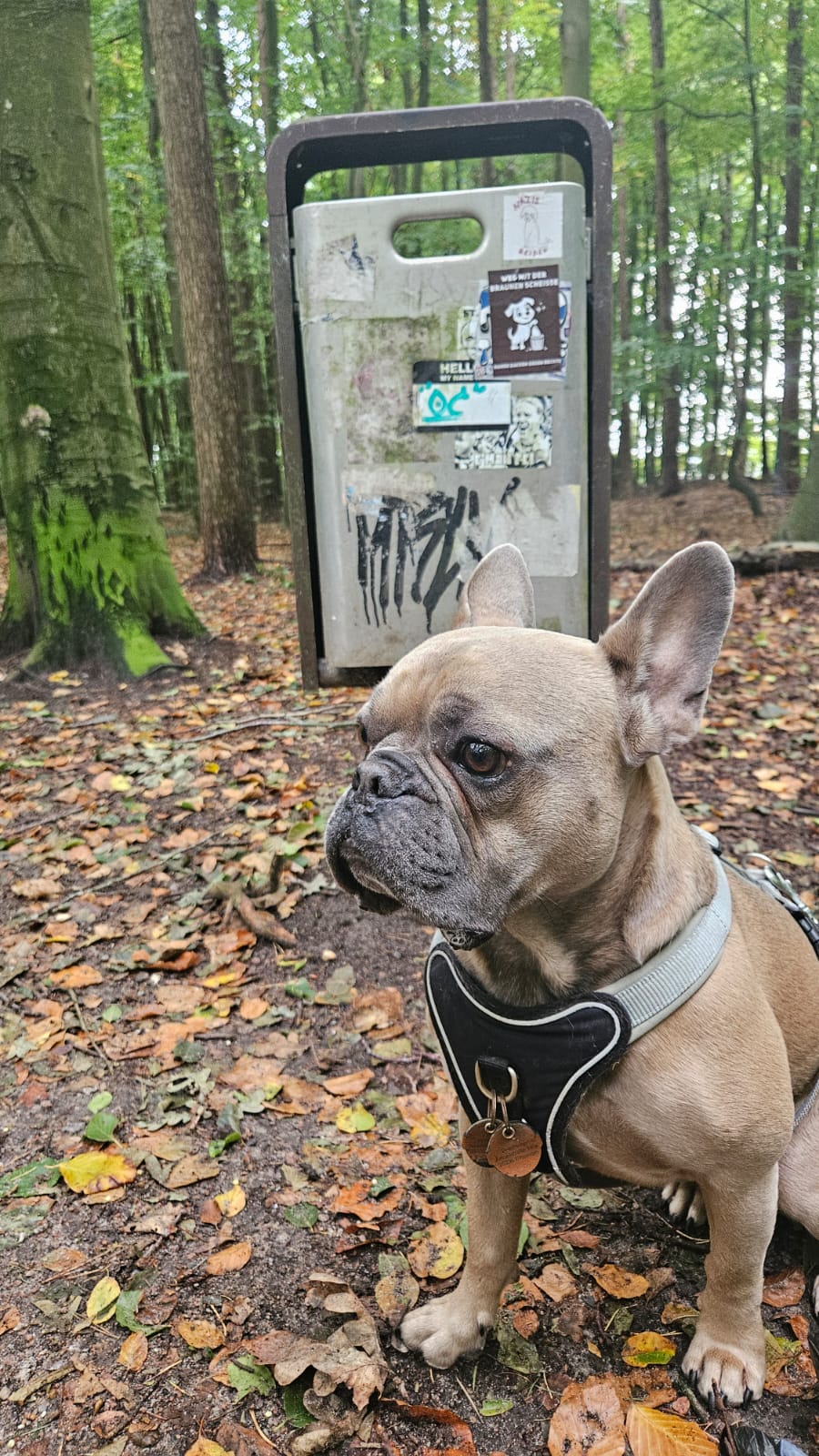 PHOTO-2025-10-06-11-14-58