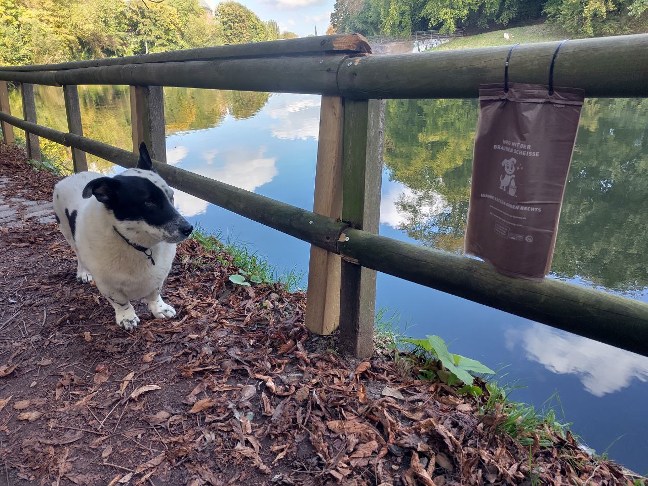 photo_2025-10-06_09-43-39