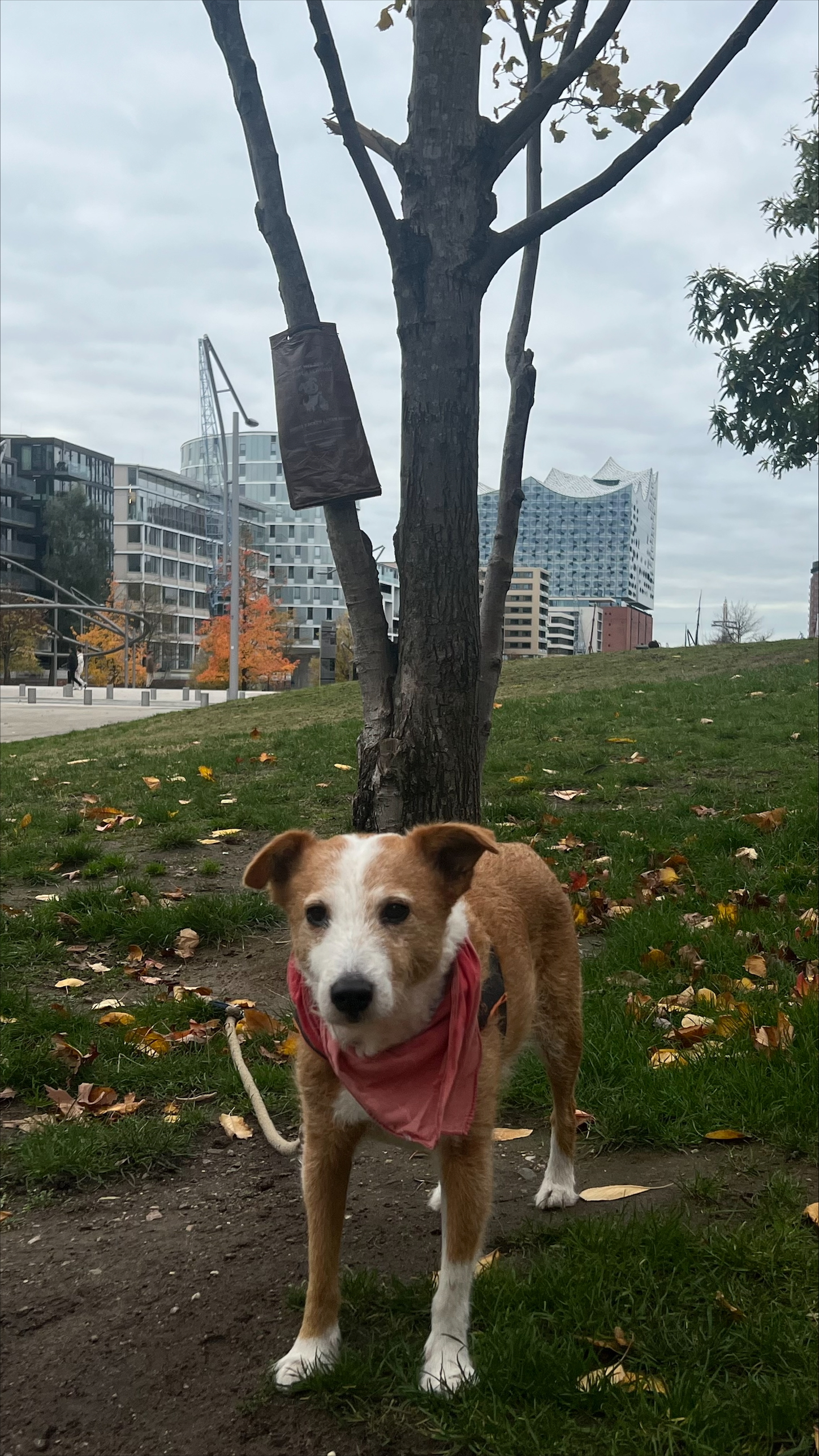 processed-13F34307-EADA-4611-9E73-431AC82EDEA5