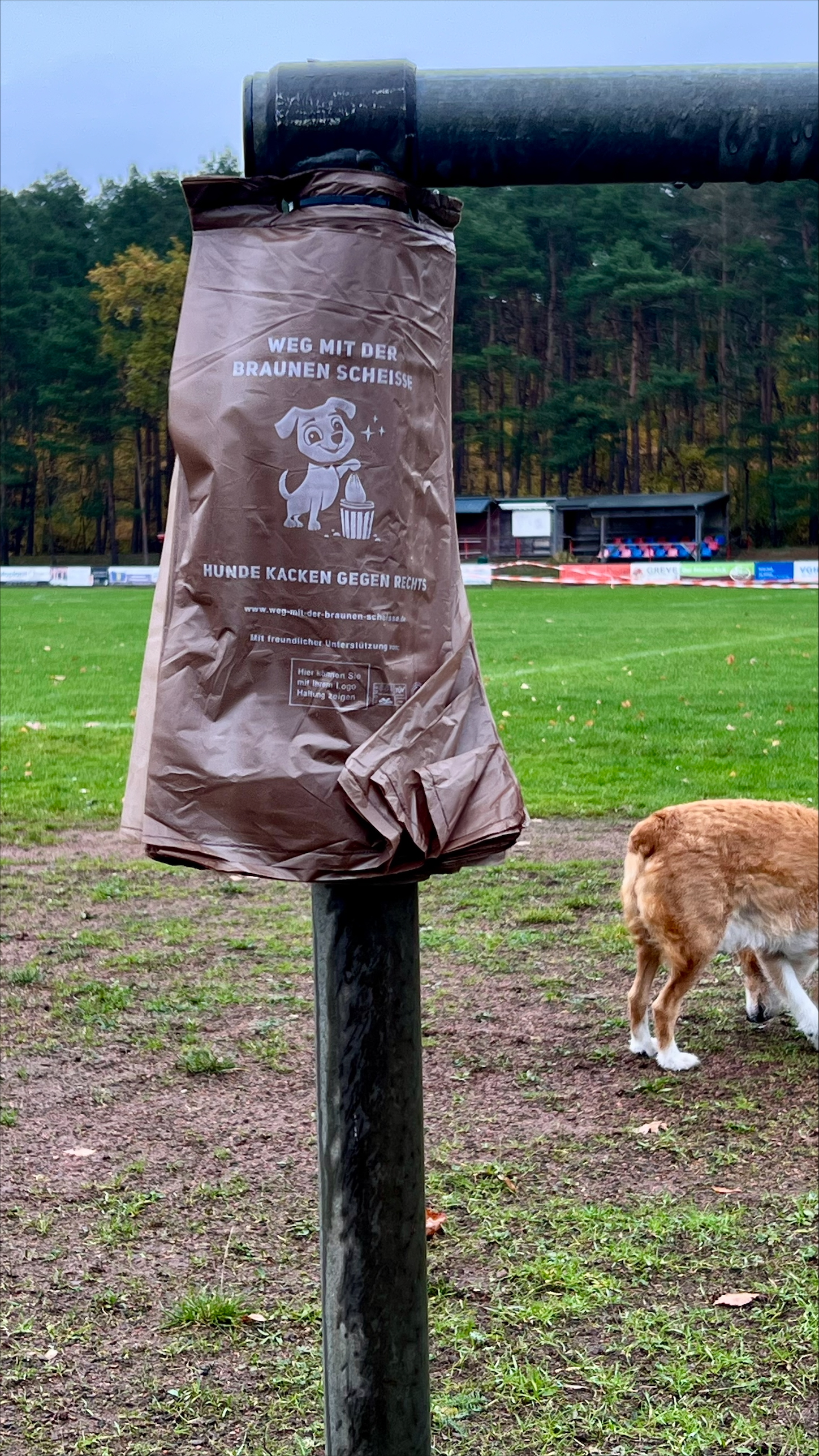 processed-276BF294-3E0E-4BAD-8FEA-A47D1A0683E8