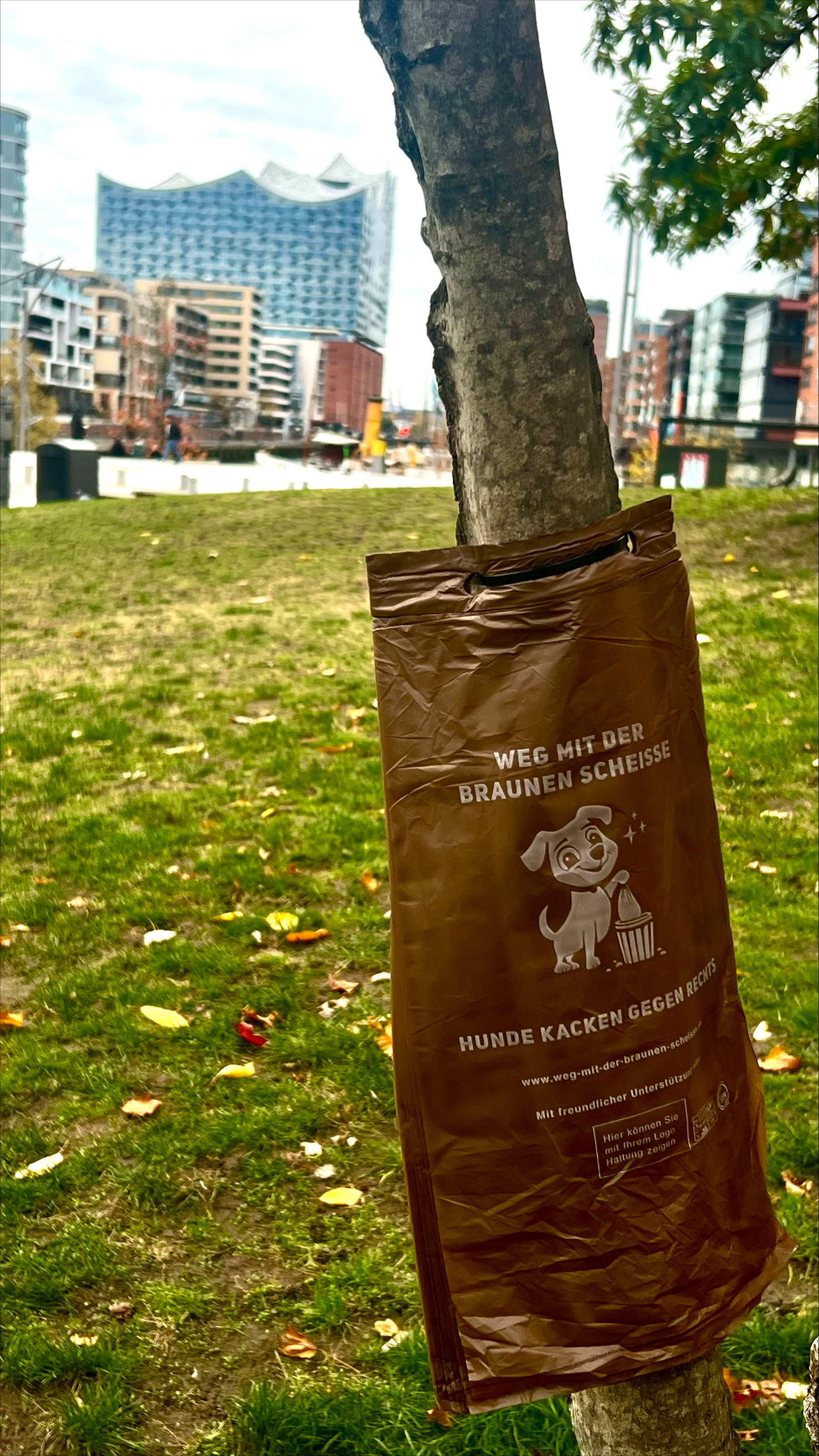 processed-28C4C940-359A-428A-ADA0-1E8296FCFC67