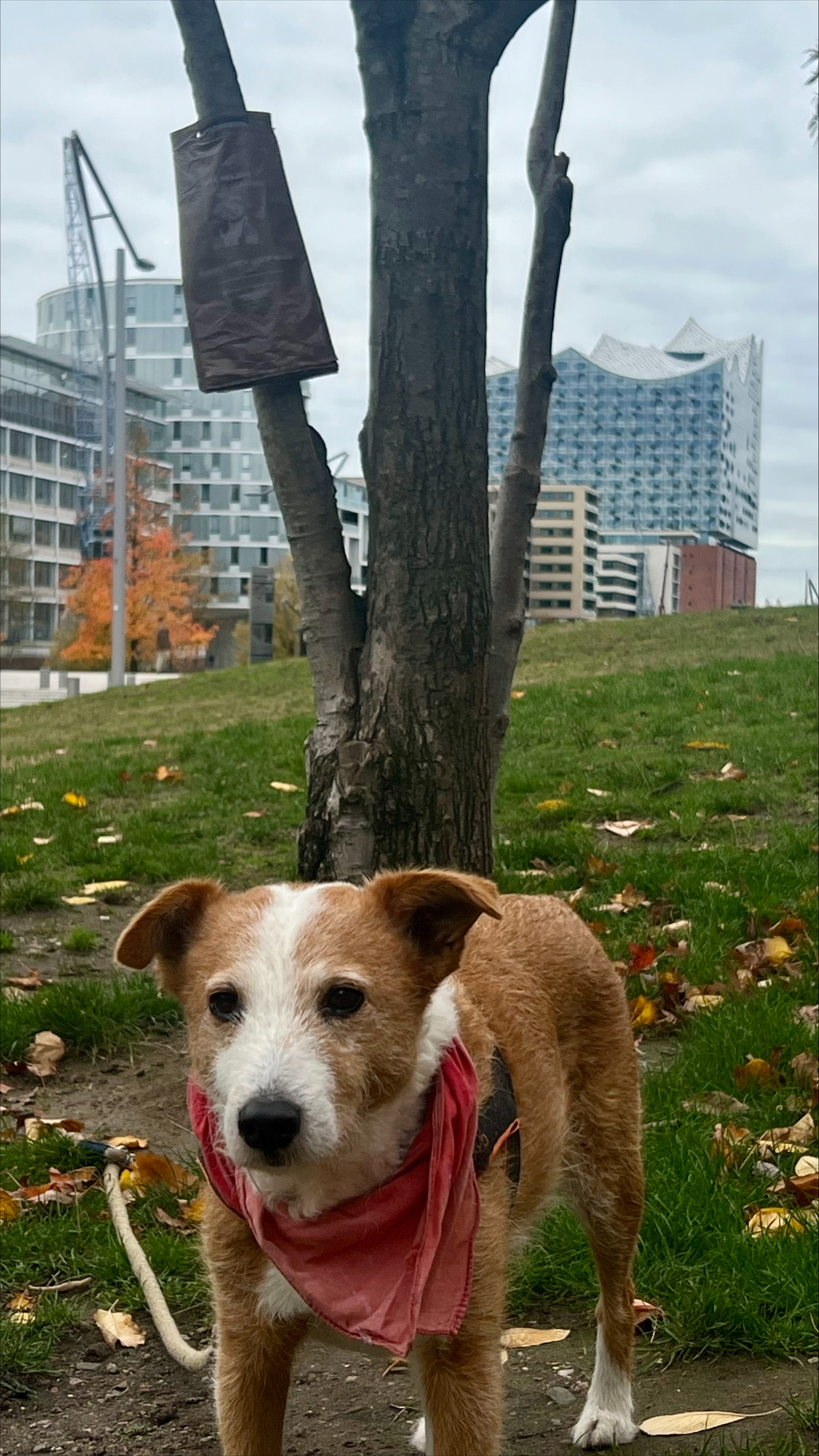 processed-B12AAB48-0488-43E6-ADBE-DE54FEA9F372